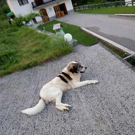 Nana Prázdninový dům *